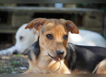 Lea -  Wenn Du mich holst, hab ich Dich lieb