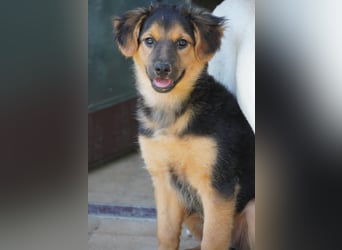 Leonilde -  Wenn Du mich holst, hab ich Dich lieb