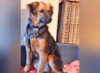 Leonilde -  Wenn Du mich holst, hab ich Dich lieb