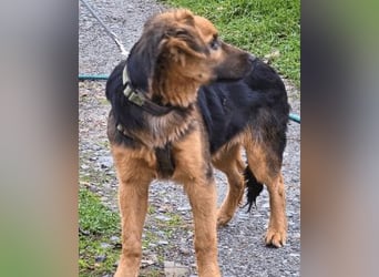 Leonilde -  Wenn Du mich holst, hab ich Dich lieb