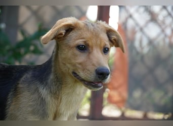 Leda -  Wenn Du mich holst, hab ich Dich lieb