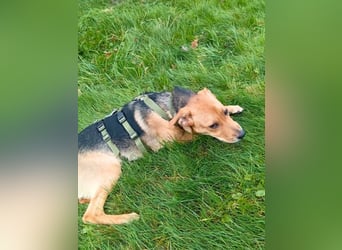 Lea -  Wenn Du mich holst, hab ich Dich lieb