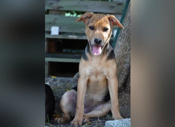 Lea -  Wenn Du mich holst, hab ich Dich lieb