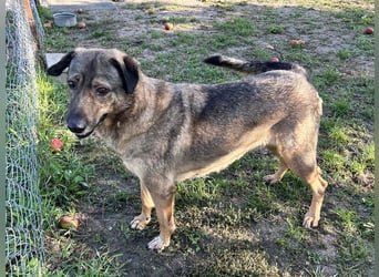 Smiley: Voller Liebe und Hoffnung