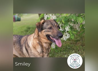 Smiley: Voller Liebe und Hoffnung Smiley: Voller Liebe und Hoffnung