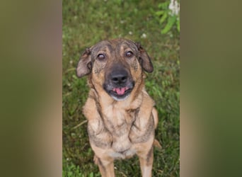 Smiley: Voller Liebe und Hoffnung