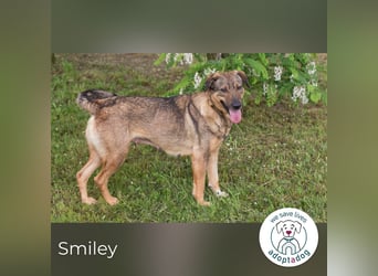 Smiley: Voller Liebe und Hoffnung