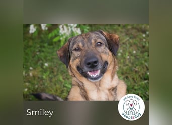 Smiley: Voller Liebe und Hoffnung Smiley: Voller Liebe und Hoffnung