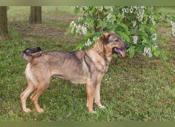 Smiley: Voller Liebe und Hoffnung