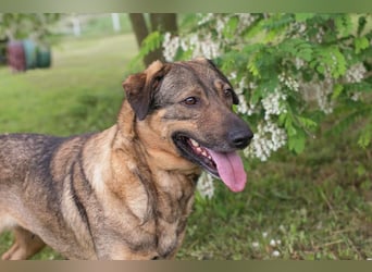 Smiley: Voller Liebe und Hoffnung