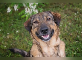 Smiley: Voller Liebe und Hoffnung