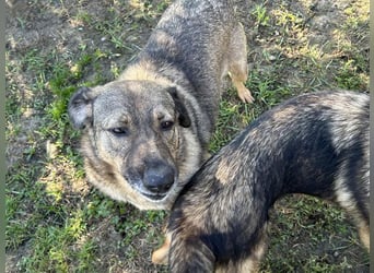 Smiley: Voller Liebe und Hoffnung