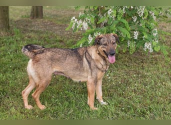 Smiley: Voller Liebe und Hoffnung