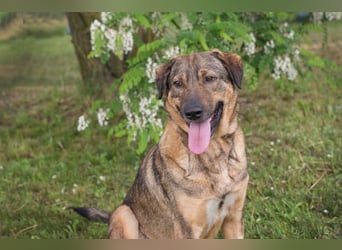 Smiley: Voller Liebe und Hoffnung