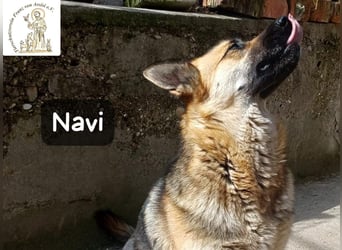 Navi – stark, sensibel, besonders – sucht ihr Gegenstück!