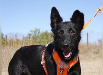 Yuna sucht ihre Familie