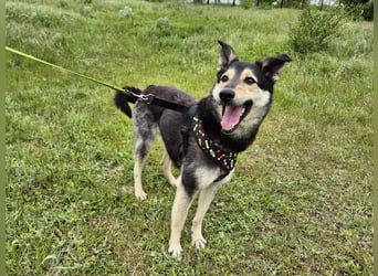 Chappy sucht seine Menschen