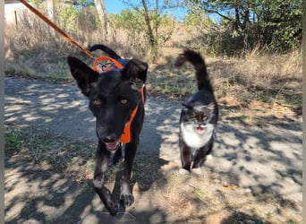 Yuna sucht ihre Familie