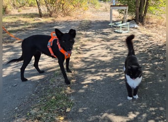 Yuna sucht ihre Familie