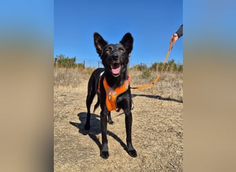 Yuna sucht ihre Familie