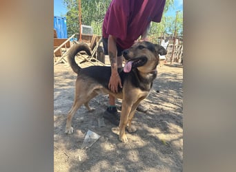Jankó sucht das Abenteuer