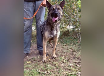 Mars - wer gibt ihm eine Chance?