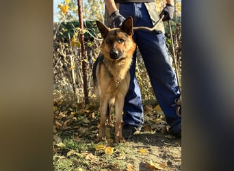 Vanilla - Muss sie diesen Winter wieder zittern?