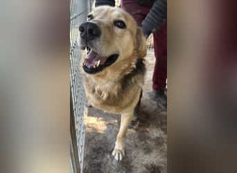 Jago wartet auf ihr Happy End