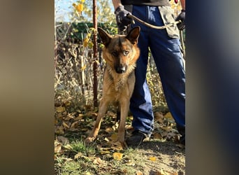 Vanilla - Muss sie diesen Winter wieder zittern?