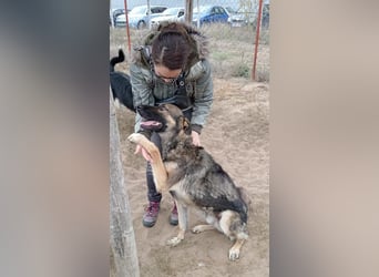 Mars - voller Freude ins neue Zuhause