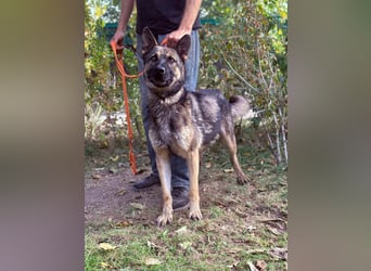 Mars - wer gibt ihm eine Chance?