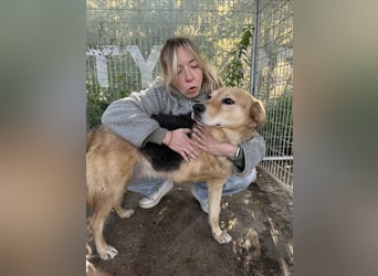 Jago wartet auf ihr Happy End