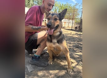 Jankó sucht das Abenteuer