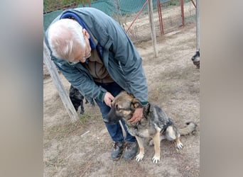 Mars - voller Freude ins neue Zuhause