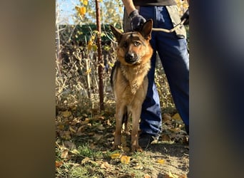 Vanilla - Muss sie diesen Winter wieder zittern?