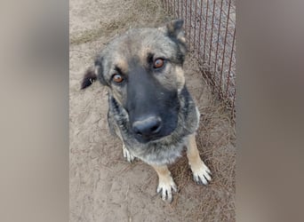 Mars - voller Freude ins neue Zuhause