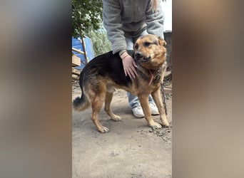 Berci sucht seine Menschen