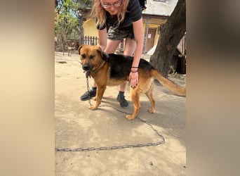 Rikki wartet schon viel zu lange