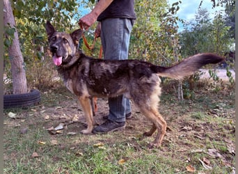 Mars - wer gibt ihm eine Chance?