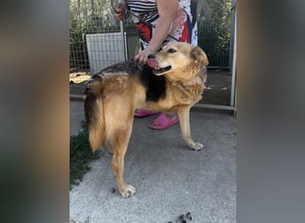 Jago sucht seine Herzensmenschen