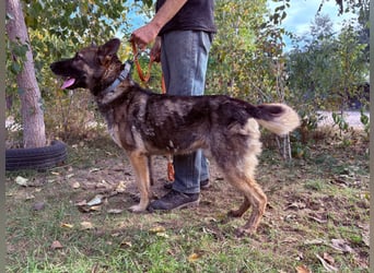 Mars - wer gibt ihm eine Chance?