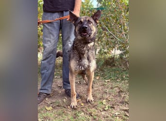 Mars - voller Freude ins neue Zuhause