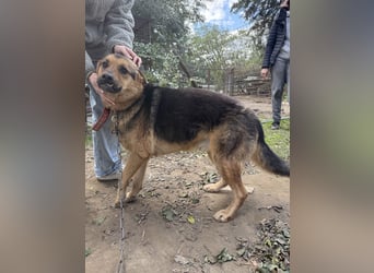 Berci sucht seine Menschen