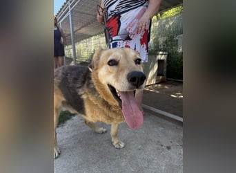 Jago wartet auf ihr Happy End