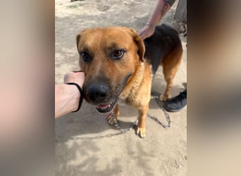 Rikki wartet schon viel zu lange