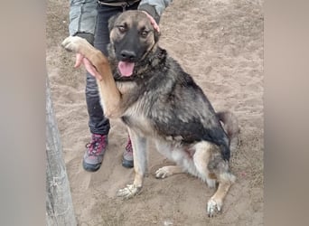 Mars - voller Freude ins neue Zuhause