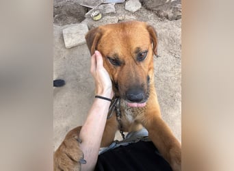 Rikki wartet schon viel zu lange