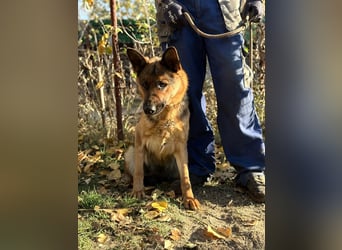 Vanilla - Muss sie diesen Winter wieder zittern?