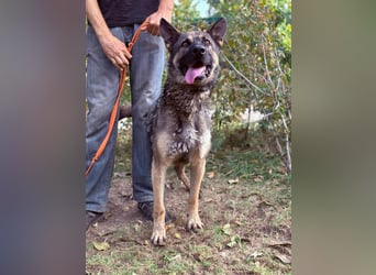 Mars - voller Freude ins neue Zuhause