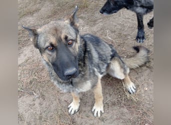 Mars - wer gibt ihm eine Chance?